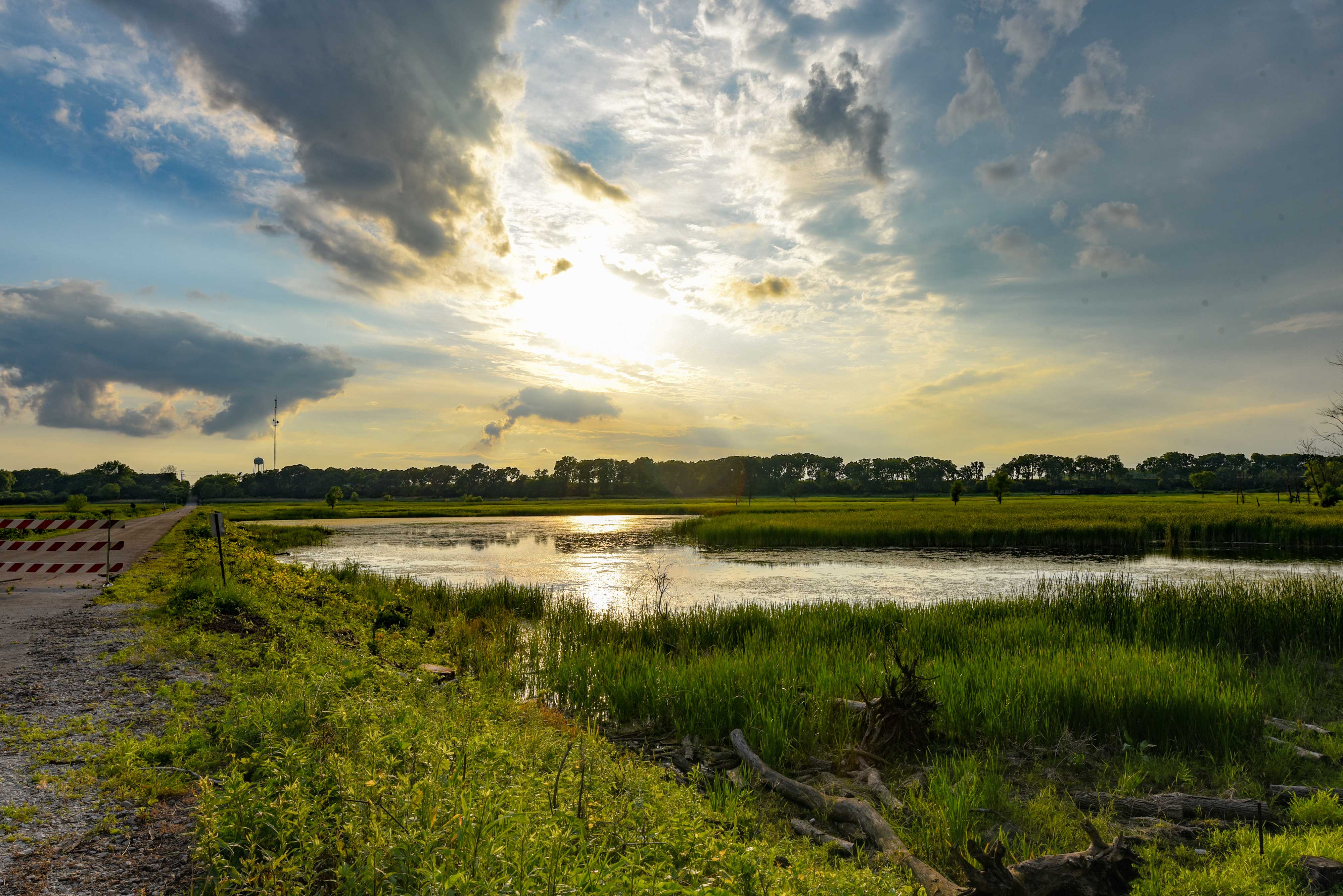 Lockport Prairie: A rare remnant of untouched land | Forest Preserve District of Will County