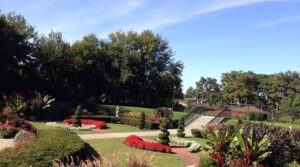 phillips park zoo phillips park zoo