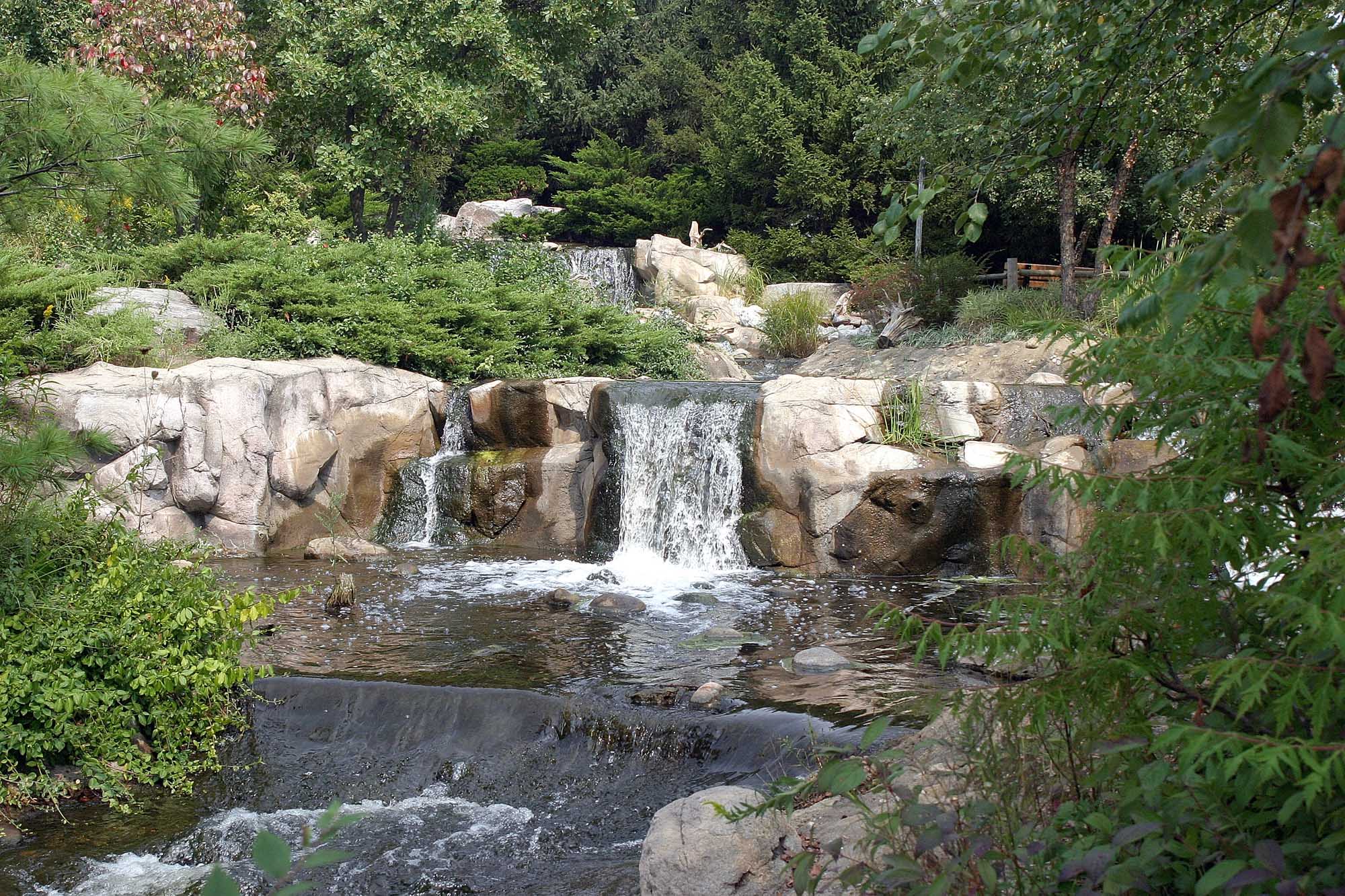 Budburst | Lake Katherine Nature Center and Botanic Gardens