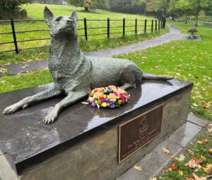 image 2025 05 09T090611.937